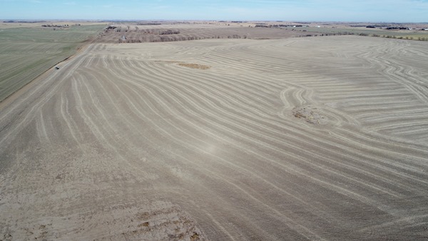 DJI 0169
