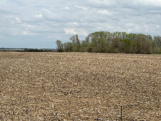 bluhm seward county nebraska pasture hunting habitat development land for sale ruhter auction realty tract 1 (1)
