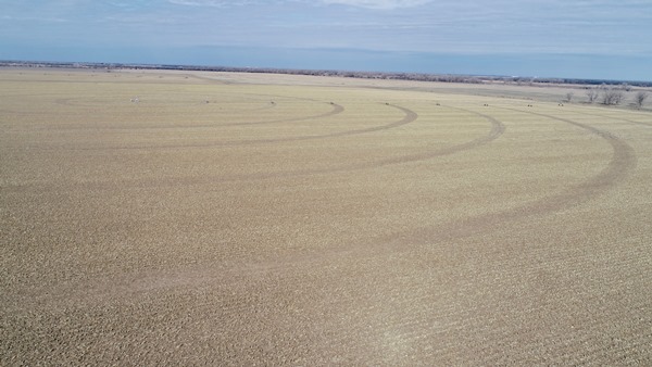 lehmann hall county nebraska farmland for sale (1)