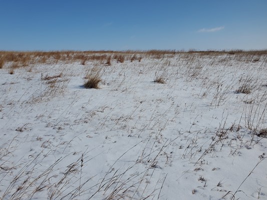 Franklin County Pasture (1)